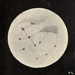 Lowell - Mars (1896) - Plate 26 Figure 3.jpg