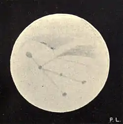 Lowell - Mars (1896) - Plate 26 Figure 4.jpg