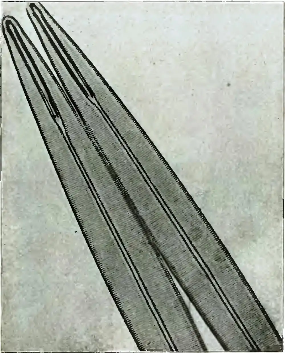 Michelson Light waves and their uses fig025.jpg
