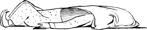 More Nonsense, Pictures, Rhymes, Botany, etc. (1872), There was an old man of Hong Kong.jpg