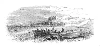 Natural History - Mollusca - Page 64.png