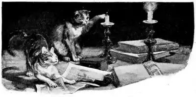 Page 228 illustration in The Fireside Sphinx.png