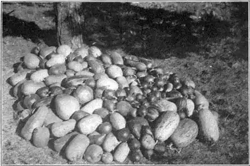 Percival Lowell - an afterglow - His Last Harvest.jpg