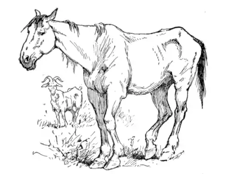 Pg 047 - Lonely O'Malley.png