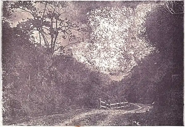 Picturesque Dunedin p095.jpg