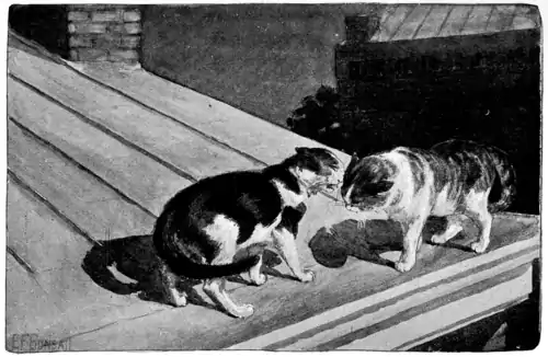 Plate 2 in The Fireside Sphinx.png