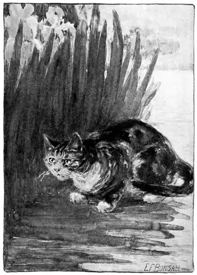 Plate 3 in The Fireside Sphinx.png