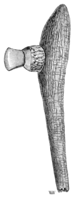 Prehistoric Times - Fig 109.png