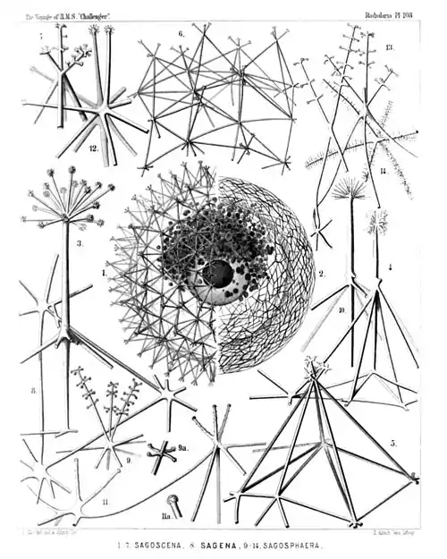 Plate 108.