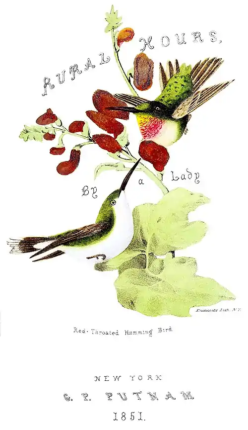 Rural Hours - Title Page.jpg