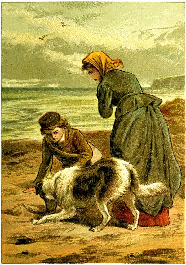 SFR color - dog digs for turtle eggs.jpg