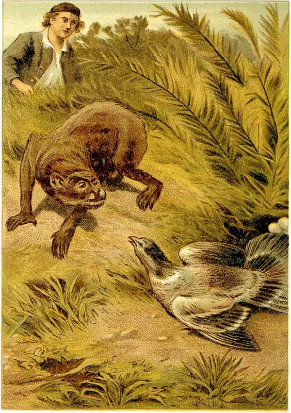 SFR color - monkey and fowl.jpg