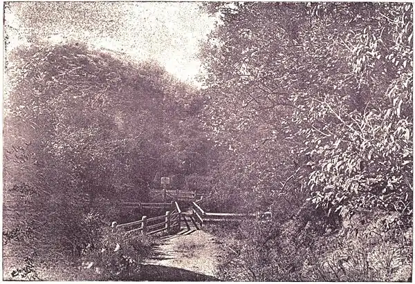 Scene in the Leith Valley (Picturesque Dunedin).jpg