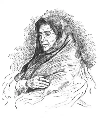 Click on image to enlarge.