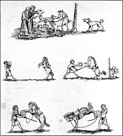 Sports and Pastimes - Trick horses.jpg