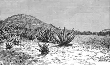 TSOM D201 Pyramid at Teotihuacan.png