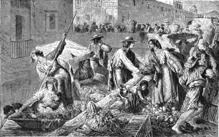 TSOM D325 The Viga.png