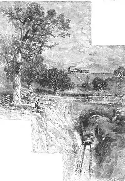 Click on image to enlarge.