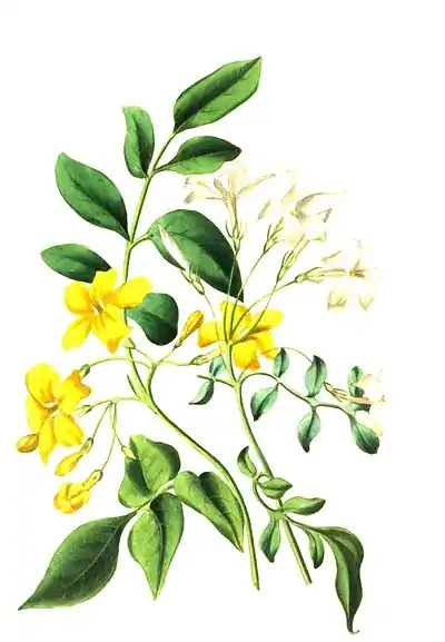 TheRomanceOfNature 0154.jpg