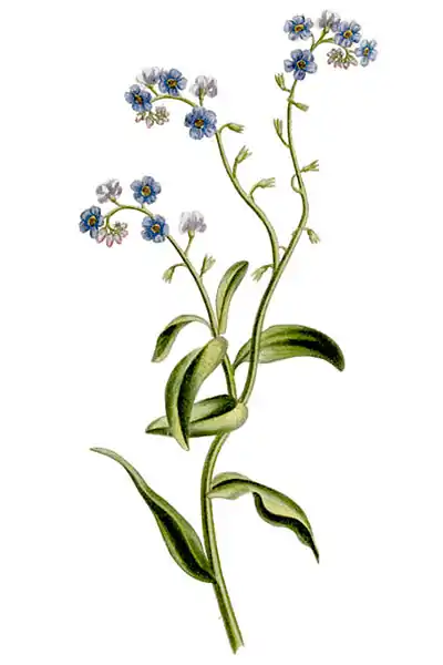 TheRomanceOfNature 0183.jpg