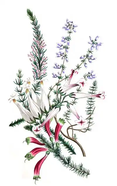 TheRomanceOfNature 0193.jpg