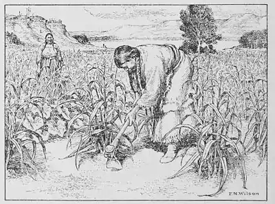 The American Indian Fig 7.jpg