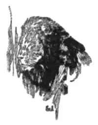 The Beasts of Tarzan - p 65.png