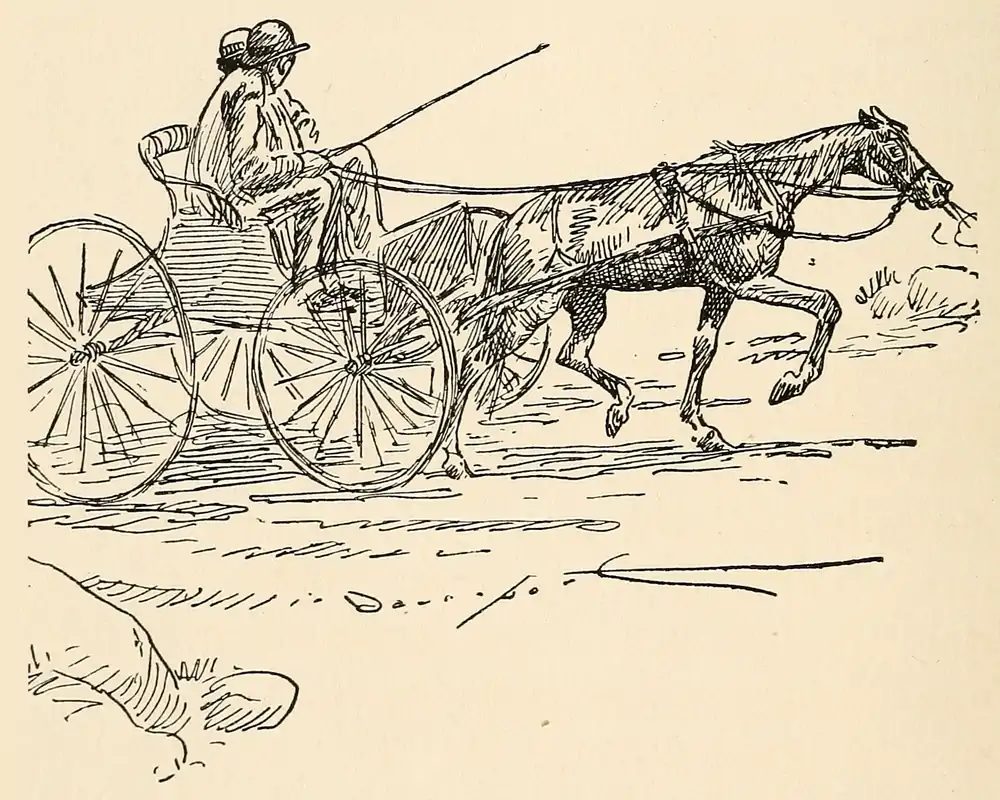 The Country Boy 162.png