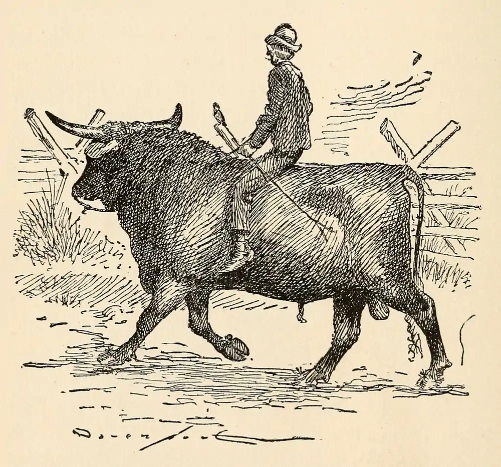 The Country Boy 22.png