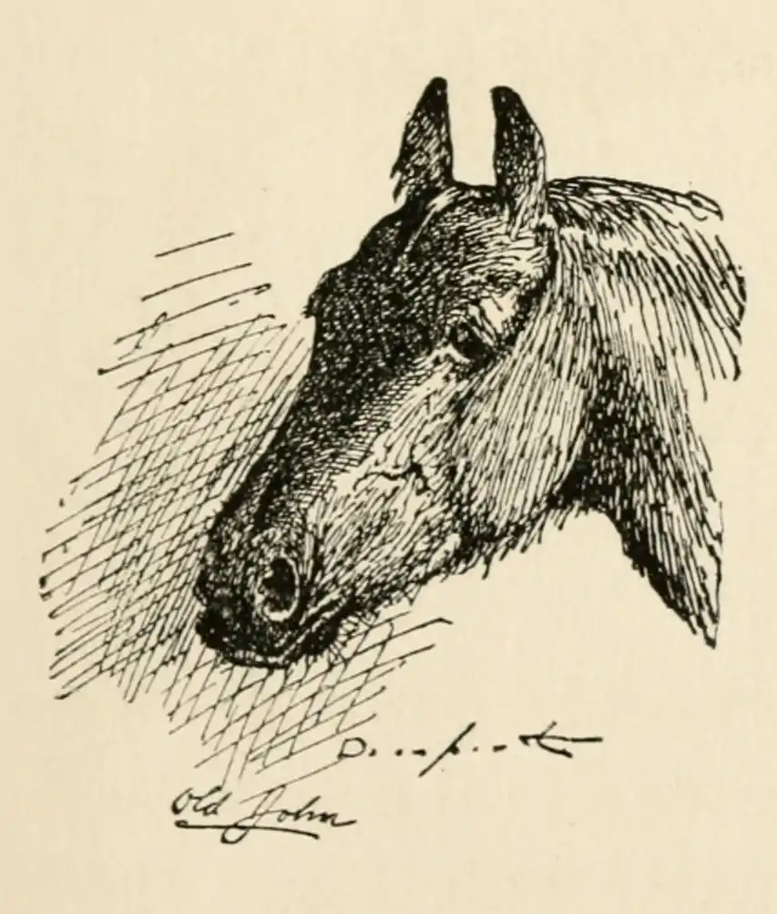 The Country Boy 23.png