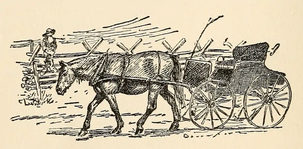 The Country Boy 26.png