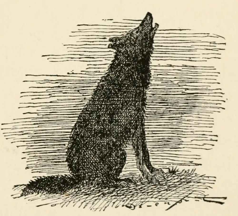 The Country Boy 27.png