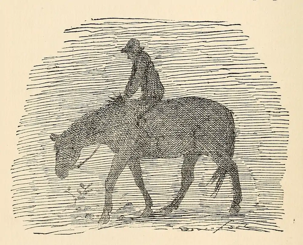 The Country Boy 28.png