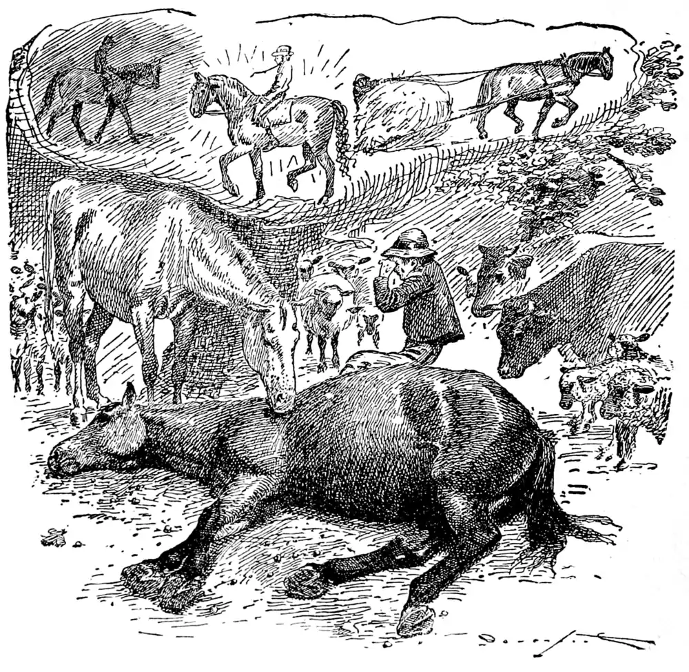 The Country Boy 34.png