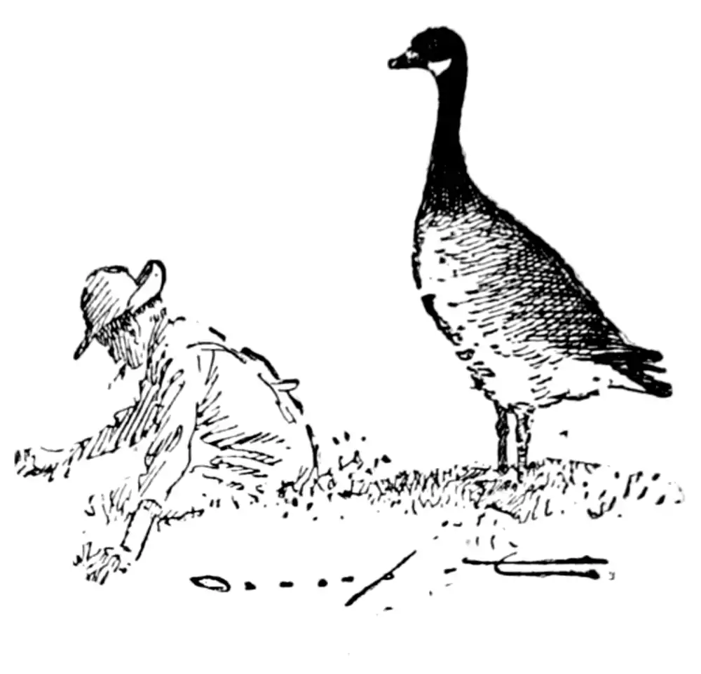 The Country Boy 87-1.png