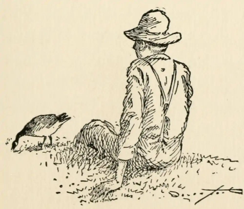 The Country Boy 87-2.png