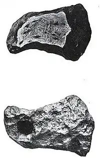 The Evolution of Worlds 0065.jpg