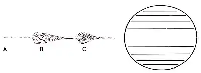 The Evolution of Worlds 0146.jpg