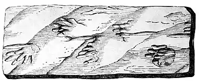 The Evolution of Worlds 0226.jpg