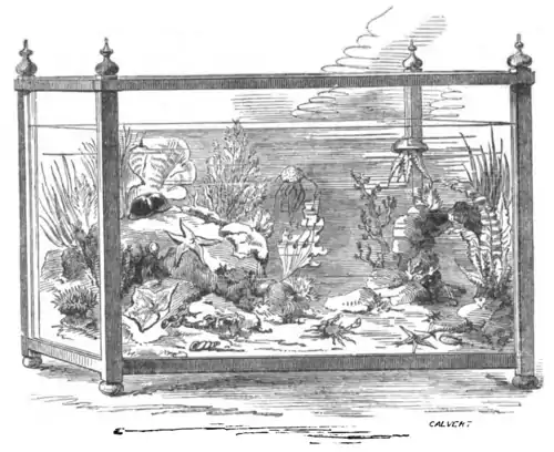 The Marine Aquarium