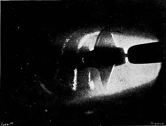 The Steam Turbine, 1911 - Fig 37 - Advanced stage in Cavitation; 1800 Revolutions.jpg