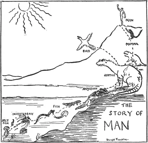 The Story of Mankind - The Ascent of Man.png