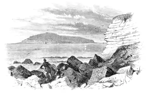The aquarium - Collecting under Byng Cliff.png