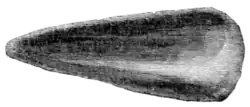 The primeval antiquities of Denmark 051b.png