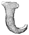 The primeval antiquities of Denmark 059.png