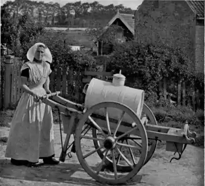 Things Seen in Holland pg 115.png