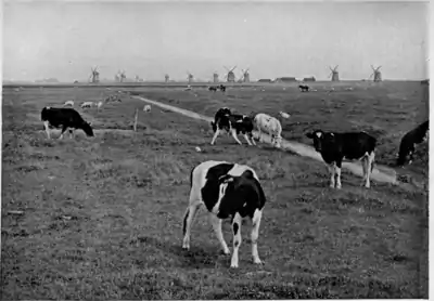 Things Seen in Holland pg 21.png