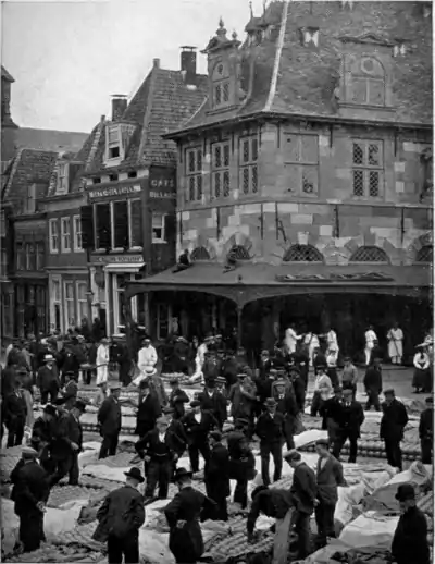 Things Seen in Holland pg 221.png