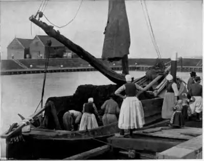 Things Seen in Holland pg 245.png