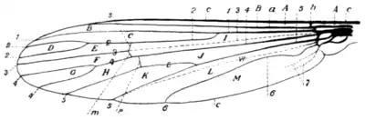 Tropical Diseases - Fig 34.png